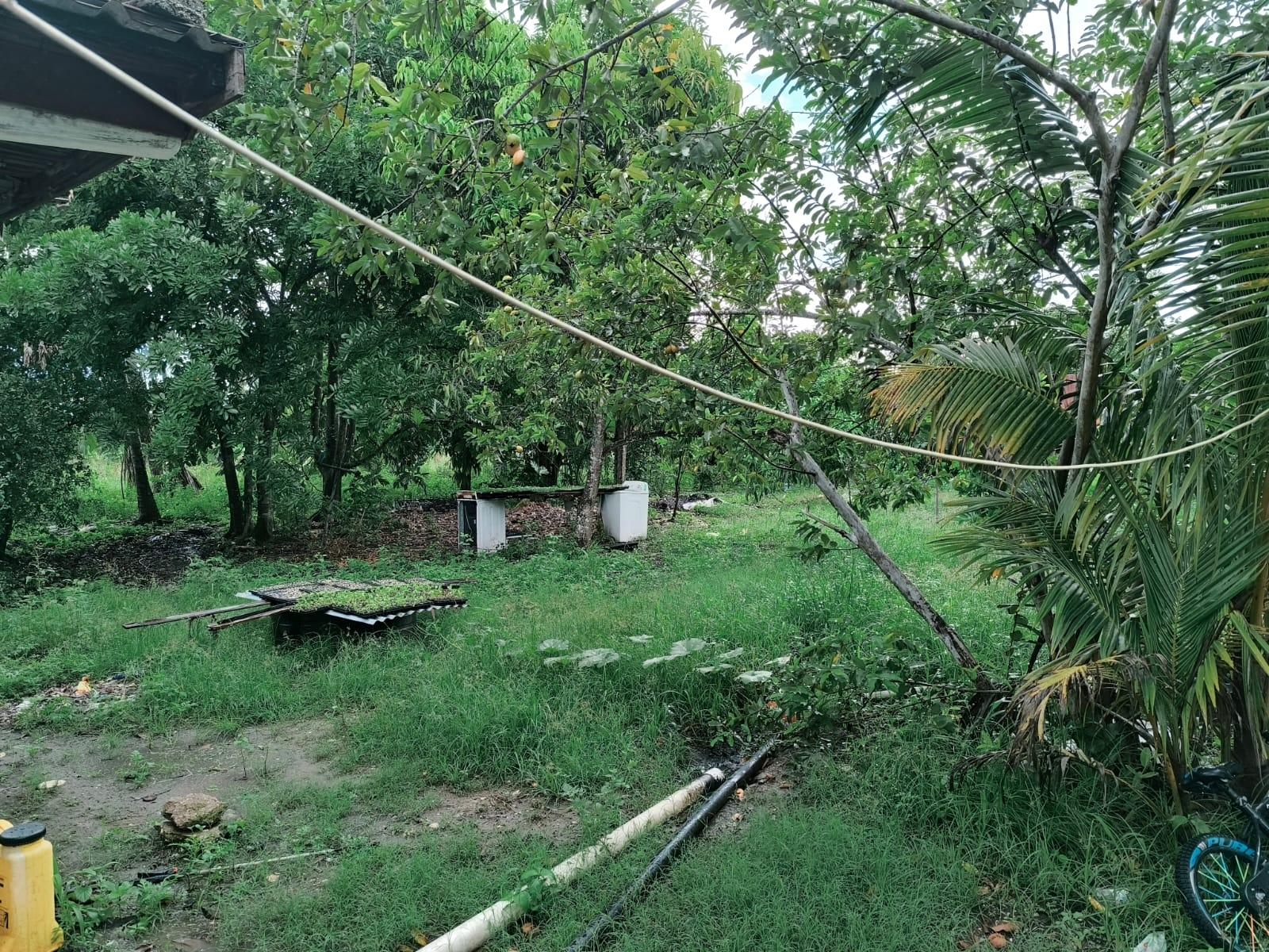Seventh image of 95- Nightingale Grove in Bushy Park, St. Catherine, Jamaica - property is For Sale