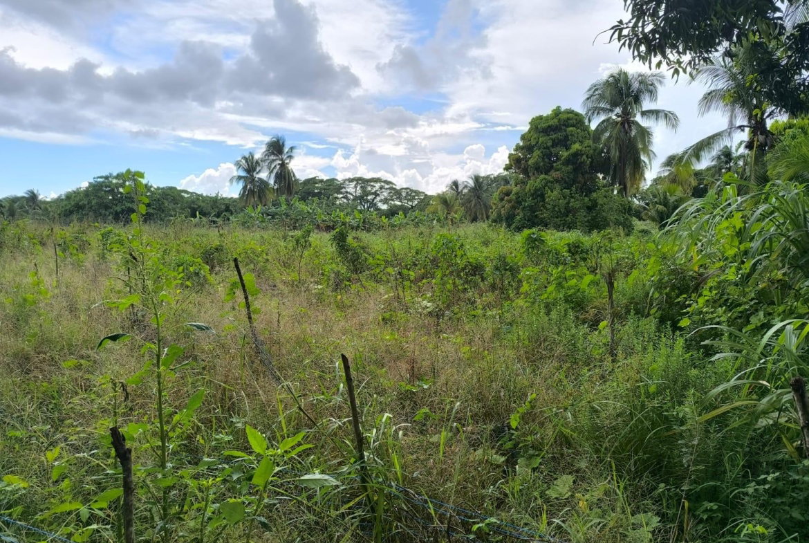 Eighth image of 95- Nightingale Grove in Bushy Park, St. Catherine, Jamaica - property is For Sale