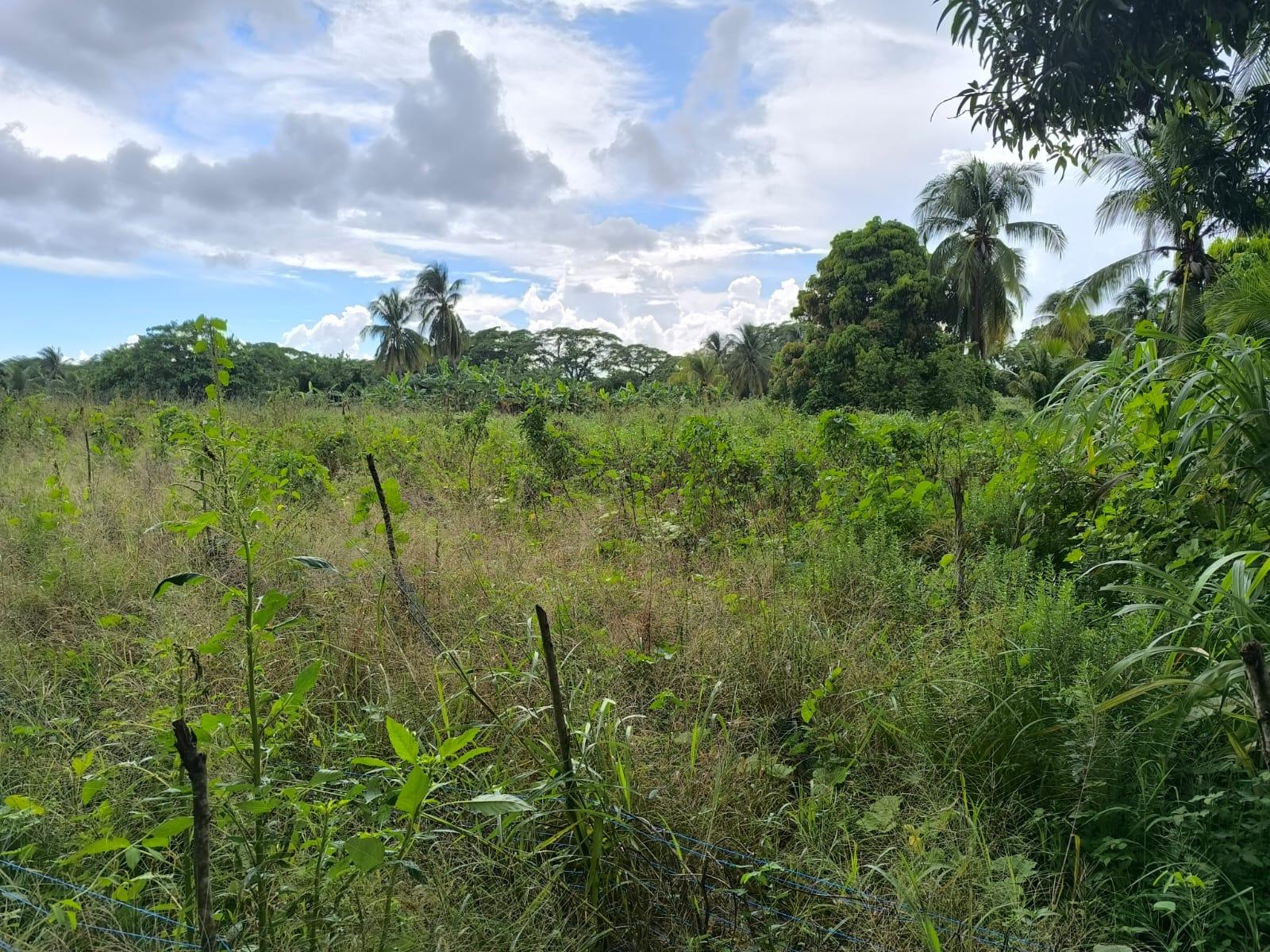 Eighth image of 95- Nightingale Grove in Bushy Park, St. Catherine, Jamaica - property is For Sale