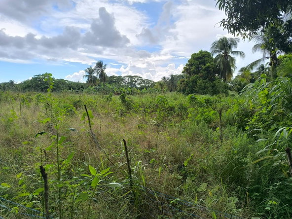 Eighth image of 95- Nightingale Grove in Bushy Park, St. Catherine, Jamaica - property is For Sale