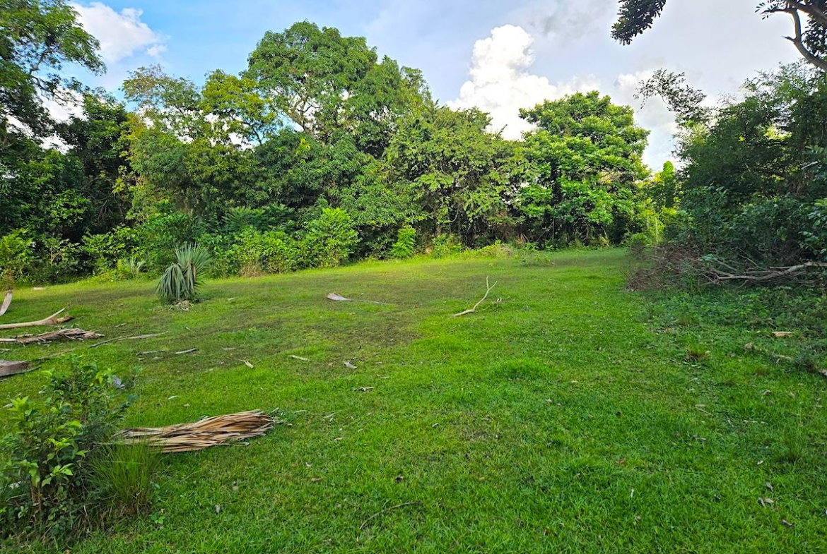 Eleventh image of Brompton, st Elizabeth in Fyffes Pen, St. Elizabeth, Jamaica - property is For Sale