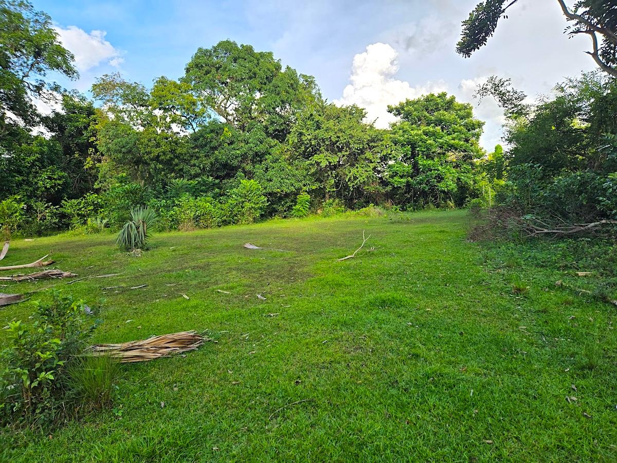 Eleventh image of Brompton, st Elizabeth in Fyffes Pen, St. Elizabeth, Jamaica - property is For Sale