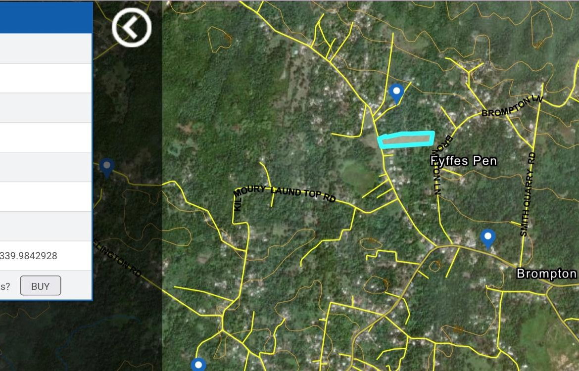 Thirteenth image of Brompton, st Elizabeth in Fyffes Pen, St. Elizabeth, Jamaica - property is For Sale