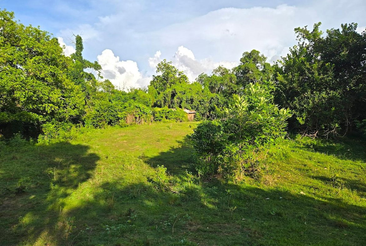 Third image of Brompton, st Elizabeth in Fyffes Pen, St. Elizabeth, Jamaica - property is For Sale