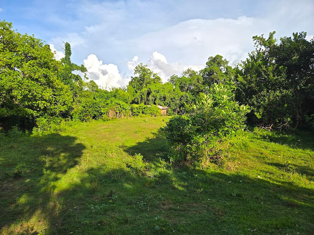Third image of Brompton, st Elizabeth in Fyffes Pen, St. Elizabeth, Jamaica - property is For Sale