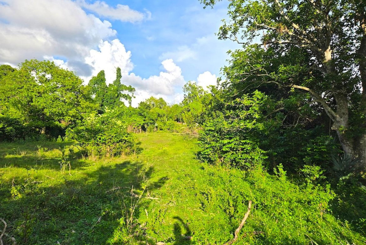 Fourth image of Brompton, st Elizabeth in Fyffes Pen, St. Elizabeth, Jamaica - property is For Sale