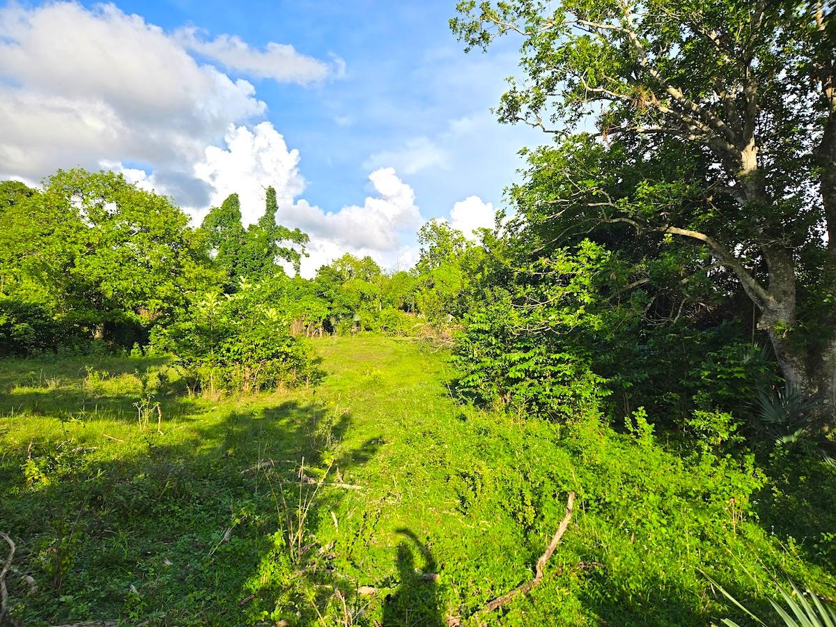 Fourth image of Brompton, st Elizabeth in Fyffes Pen, St. Elizabeth, Jamaica - property is For Sale