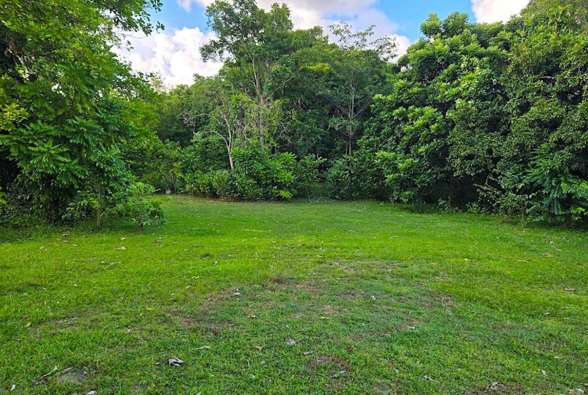 Fifth image of Brompton, st Elizabeth in Fyffes Pen, St. Elizabeth, Jamaica - property is For Sale