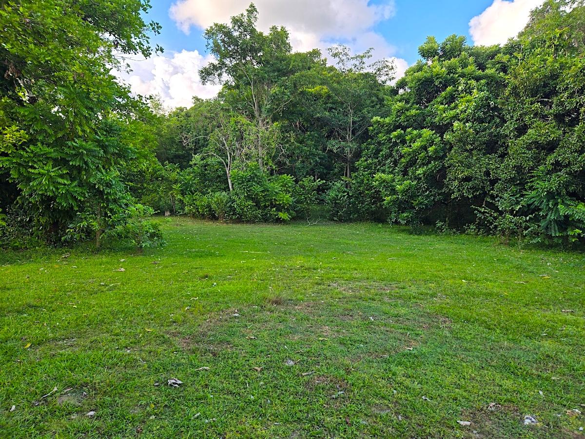 Fifth image of Brompton, st Elizabeth in Fyffes Pen, St. Elizabeth, Jamaica - property is For Sale