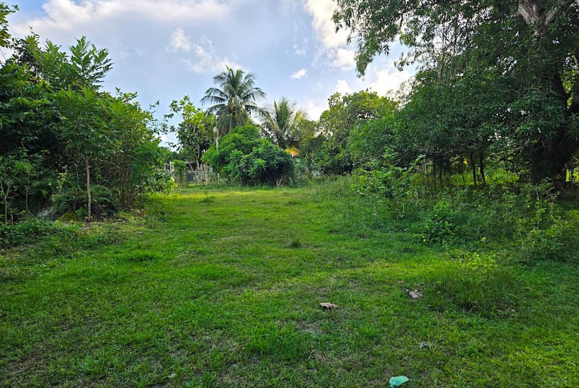 Sixth image of Brompton, st Elizabeth in Fyffes Pen, St. Elizabeth, Jamaica - property is For Sale