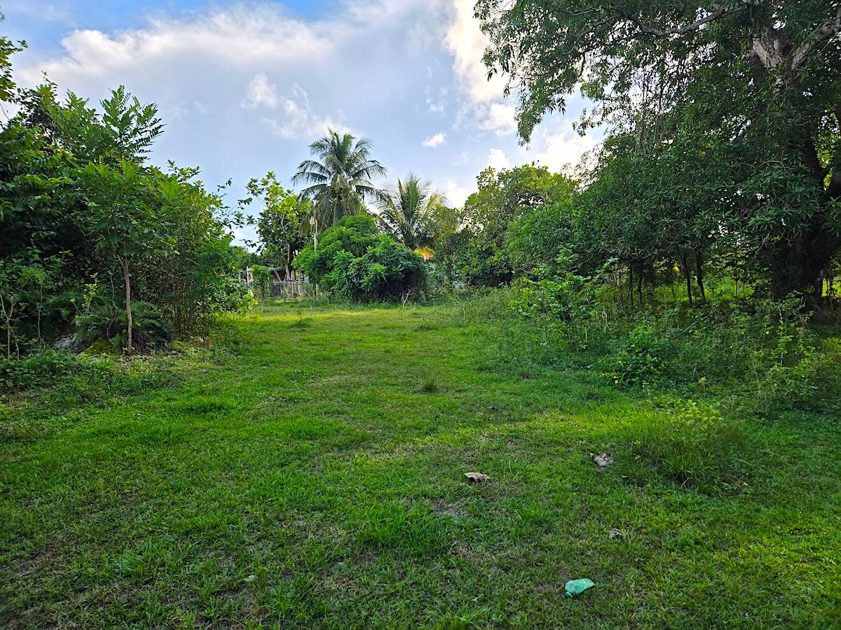 Sixth image of Brompton, st Elizabeth in Fyffes Pen, St. Elizabeth, Jamaica - property is For Sale
