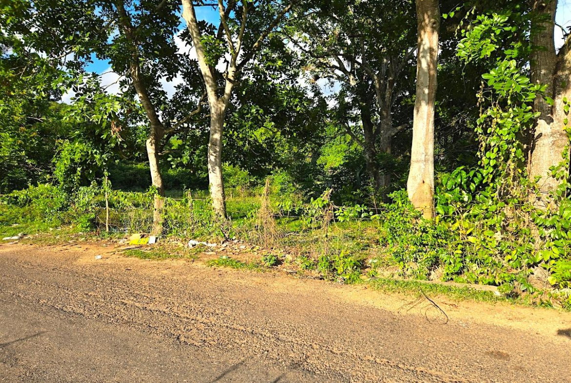 Seventh image of Brompton, st Elizabeth in Fyffes Pen, St. Elizabeth, Jamaica - property is For Sale