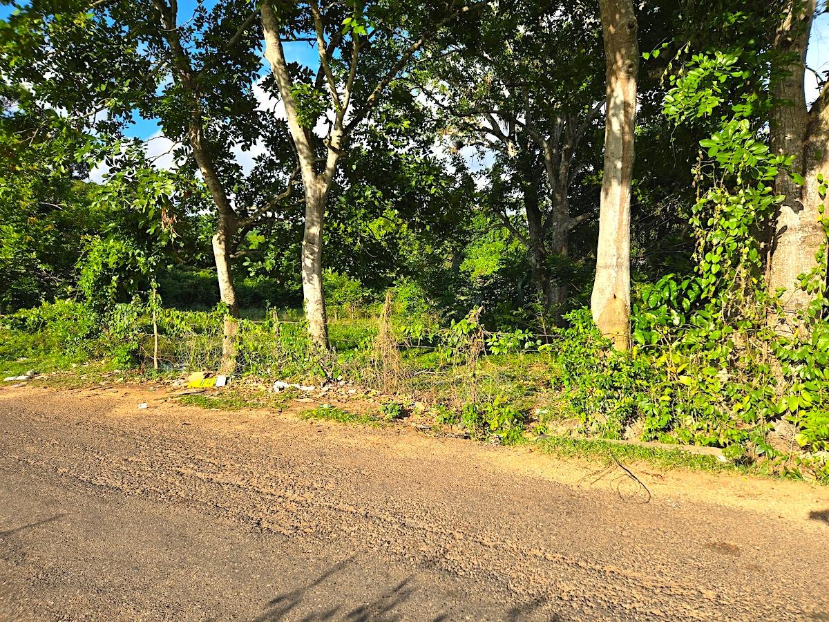 Seventh image of Brompton, st Elizabeth in Fyffes Pen, St. Elizabeth, Jamaica - property is For Sale