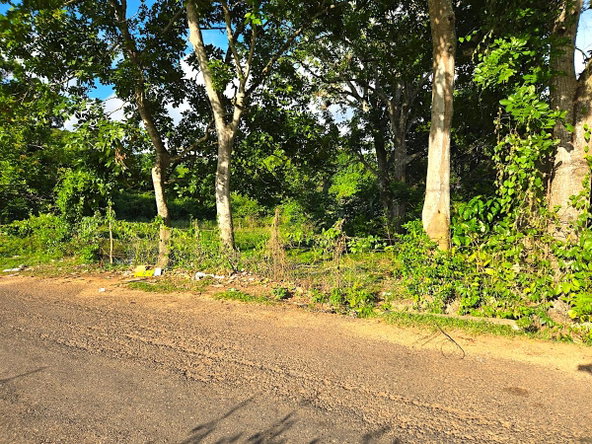 Seventh image of Brompton, st Elizabeth in Fyffes Pen, St. Elizabeth, Jamaica - property is For Sale