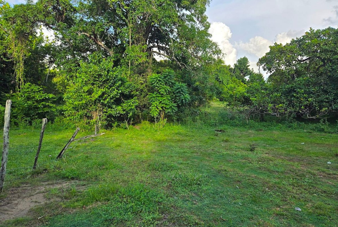 Eighth image of Brompton, st Elizabeth in Fyffes Pen, St. Elizabeth, Jamaica - property is For Sale