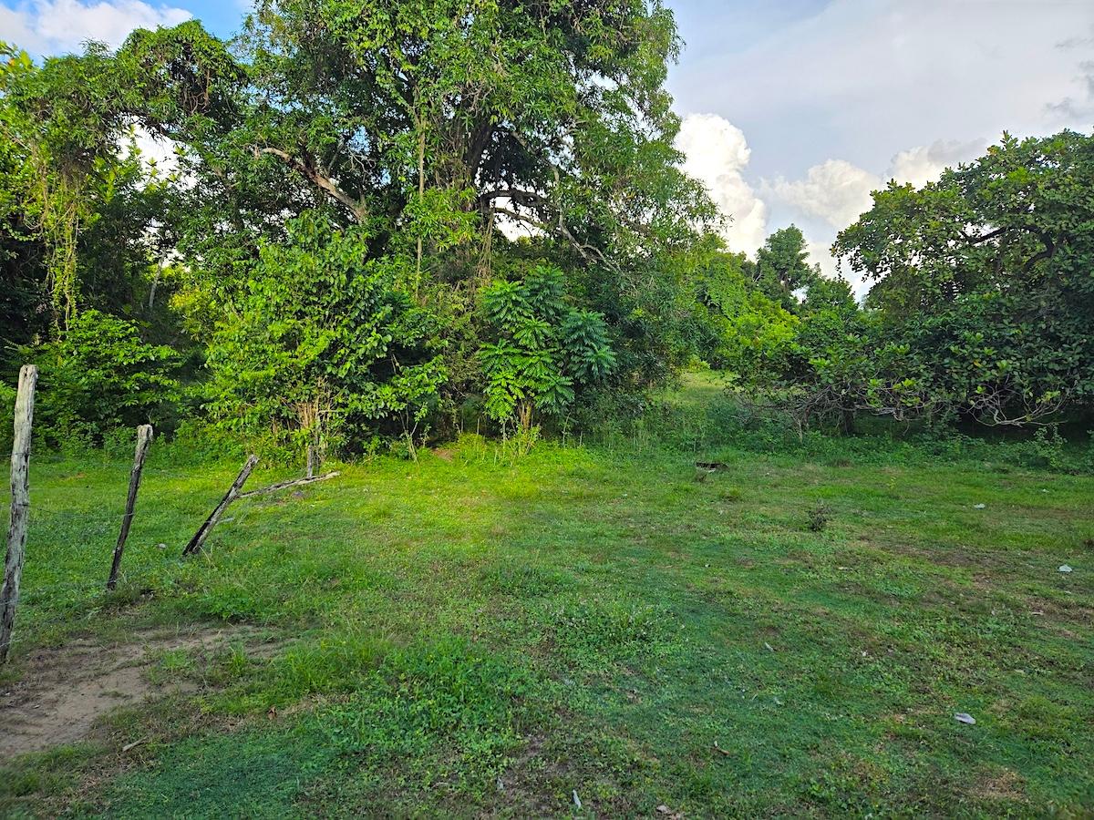 Eighth image of Brompton, st Elizabeth in Fyffes Pen, St. Elizabeth, Jamaica - property is For Sale
