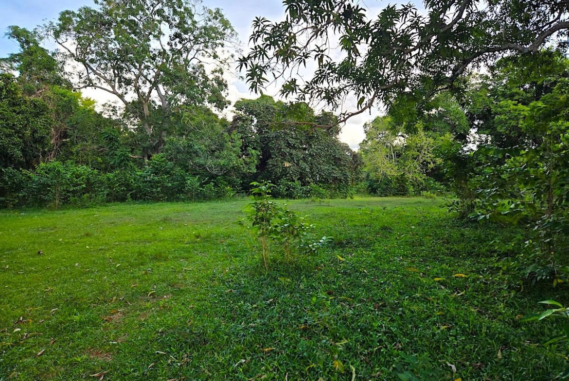 Ninth image of Brompton, st Elizabeth in Fyffes Pen, St. Elizabeth, Jamaica - property is For Sale