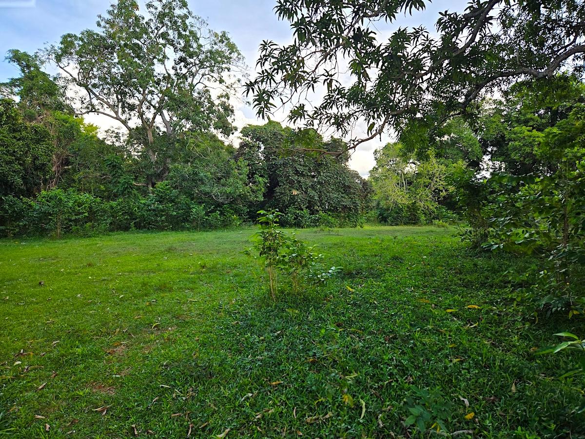 Ninth image of Brompton, st Elizabeth in Fyffes Pen, St. Elizabeth, Jamaica - property is For Sale