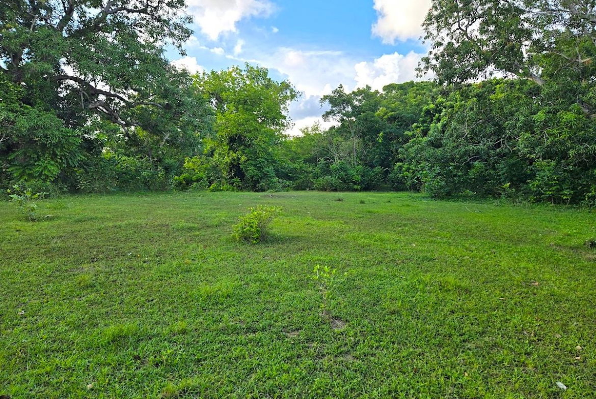 Tenth image of Brompton, st Elizabeth in Fyffes Pen, St. Elizabeth, Jamaica - property is For Sale