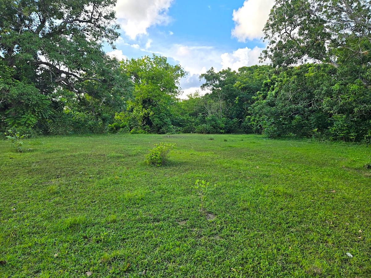 Tenth image of Brompton, st Elizabeth in Fyffes Pen, St. Elizabeth, Jamaica - property is For Sale