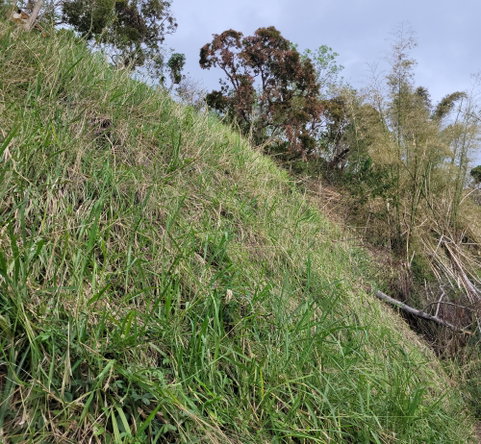Second image of Hermitage, Norbrook in Kingston 8, St. Andrew, Jamaica - property is For Sale