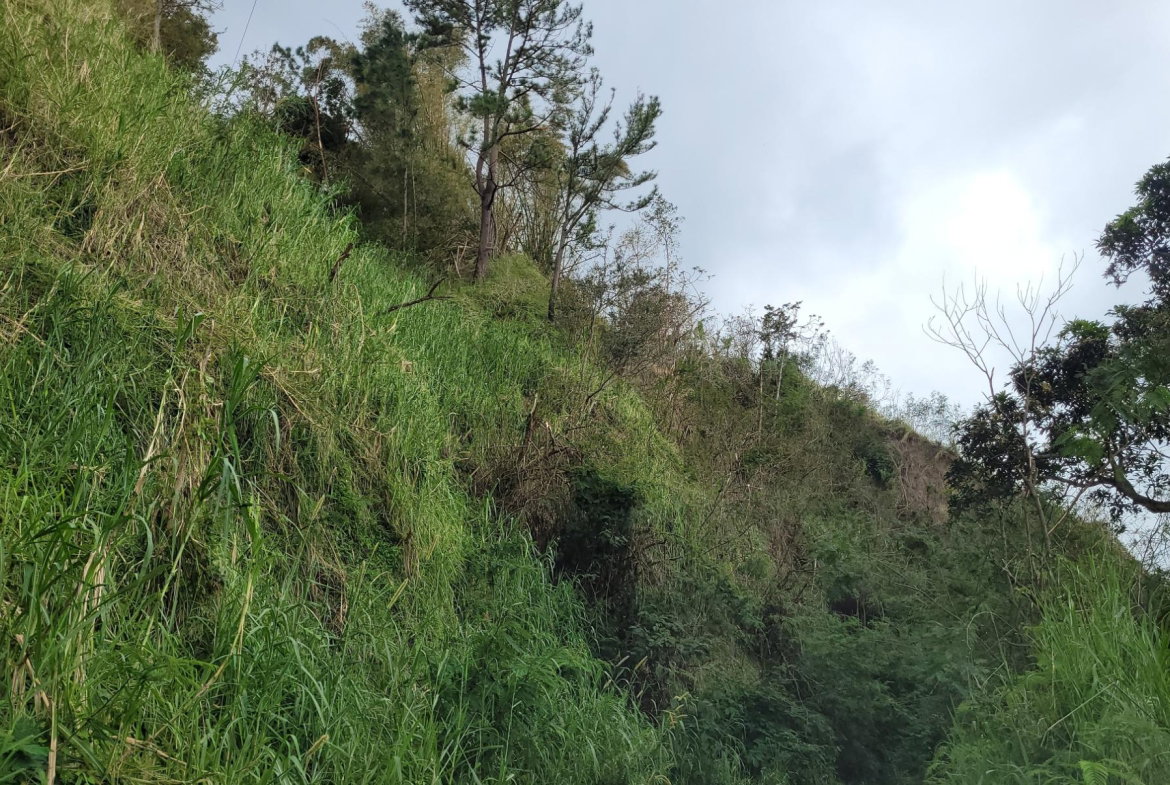 First image of Hermitage, Norbrook in Kingston 8, St. Andrew, Jamaica - property is For Sale