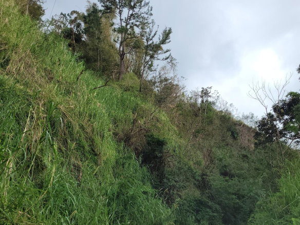 First image of Hermitage, Norbrook in Kingston 8, St. Andrew, Jamaica - property is For Sale