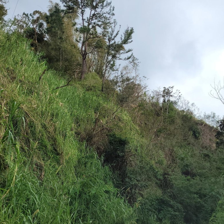 First image of Hermitage, Norbrook in Kingston 8, St. Andrew, Jamaica - property is For Sale