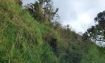 First image of Hermitage, Norbrook in Kingston 8, St. Andrew, Jamaica - property is For Sale