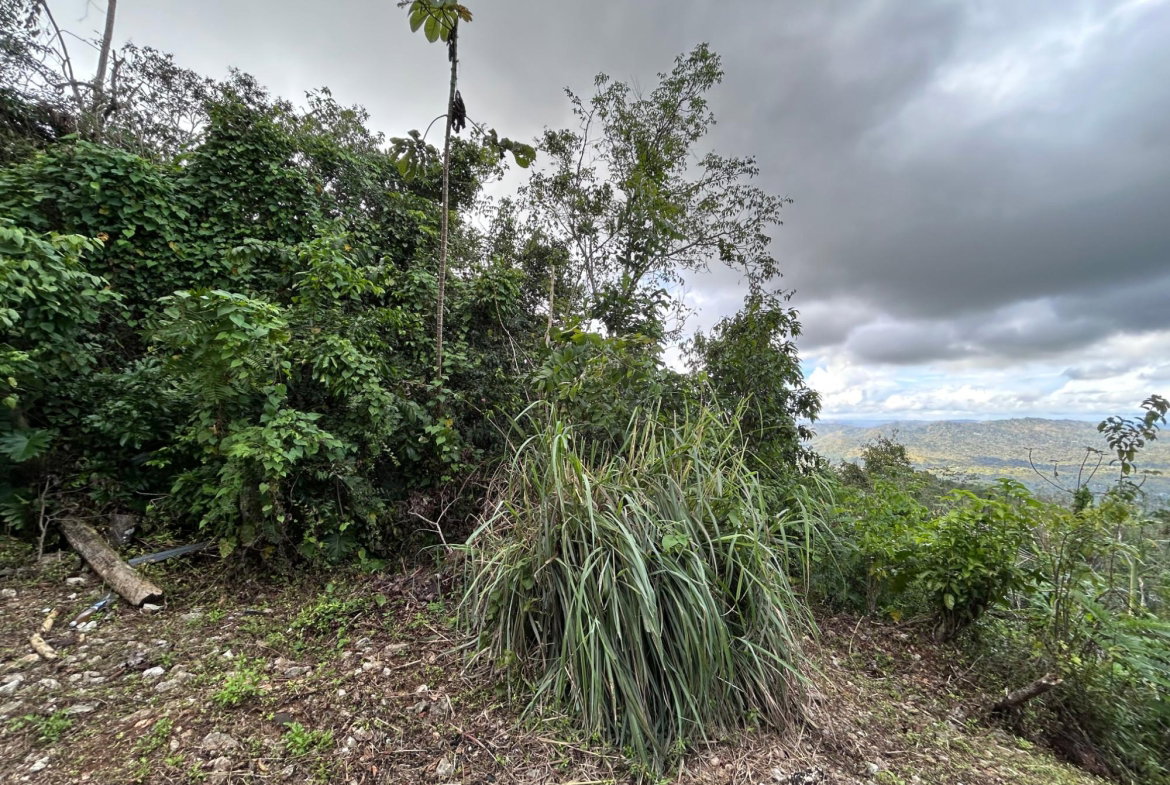 Third image of 53 Coopers Hill in Red Hills, St. Andrew, Jamaica - property is For Sale