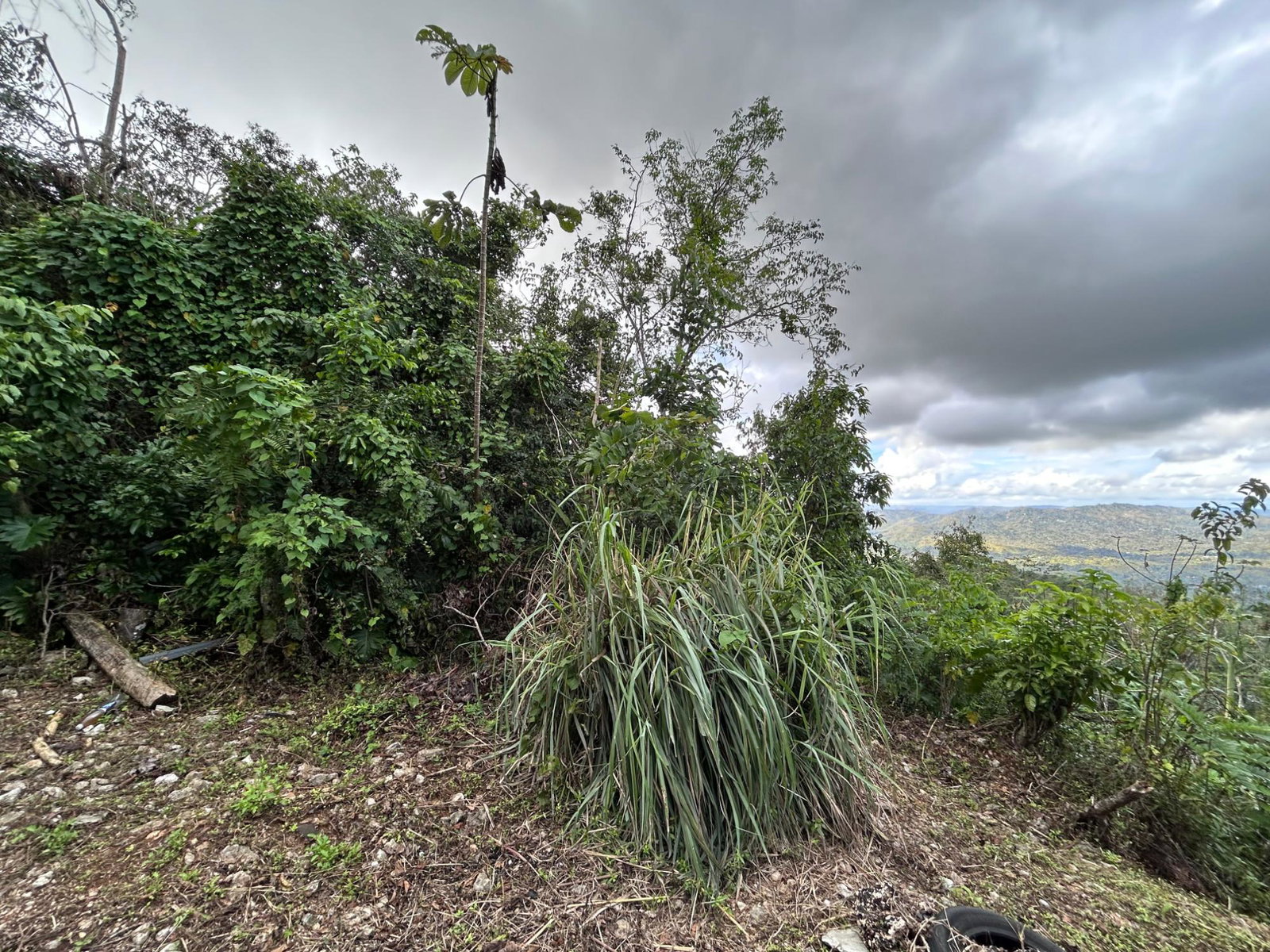 Third image of 53 Coopers Hill in Red Hills, St. Andrew, Jamaica - property is For Sale