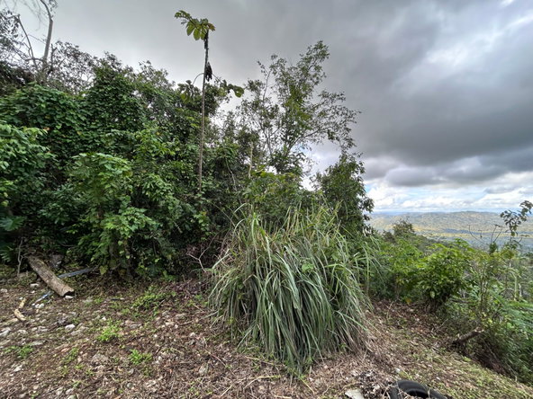 Third image of 53 Coopers Hill in Red Hills, St. Andrew, Jamaica - property is For Sale