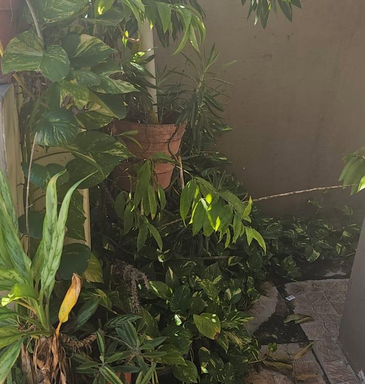 First image of 465 Seaview Gardens in Kingston 11, St. Andrew, Jamaica - property is For Sale