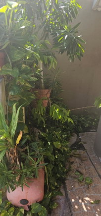First image of 465 Seaview Gardens in Kingston 11, St. Andrew, Jamaica - property is For Sale