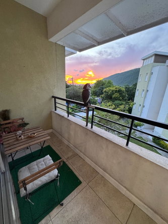 Thirteenth image of B319-1 Queensbury Drive in Kingston 19, St. Andrew, Jamaica - property is For Rent