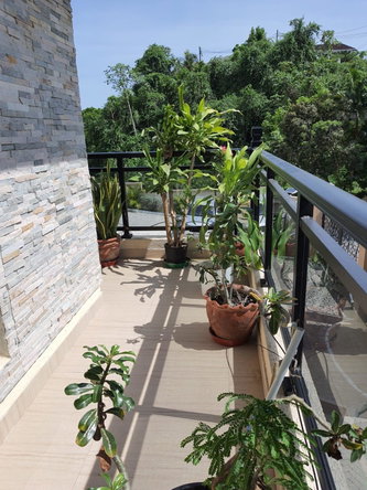 Nineteenth image of 4 Lipscombe Drive/ave in Kingston 9, St. Andrew, Jamaica - property is For Rent