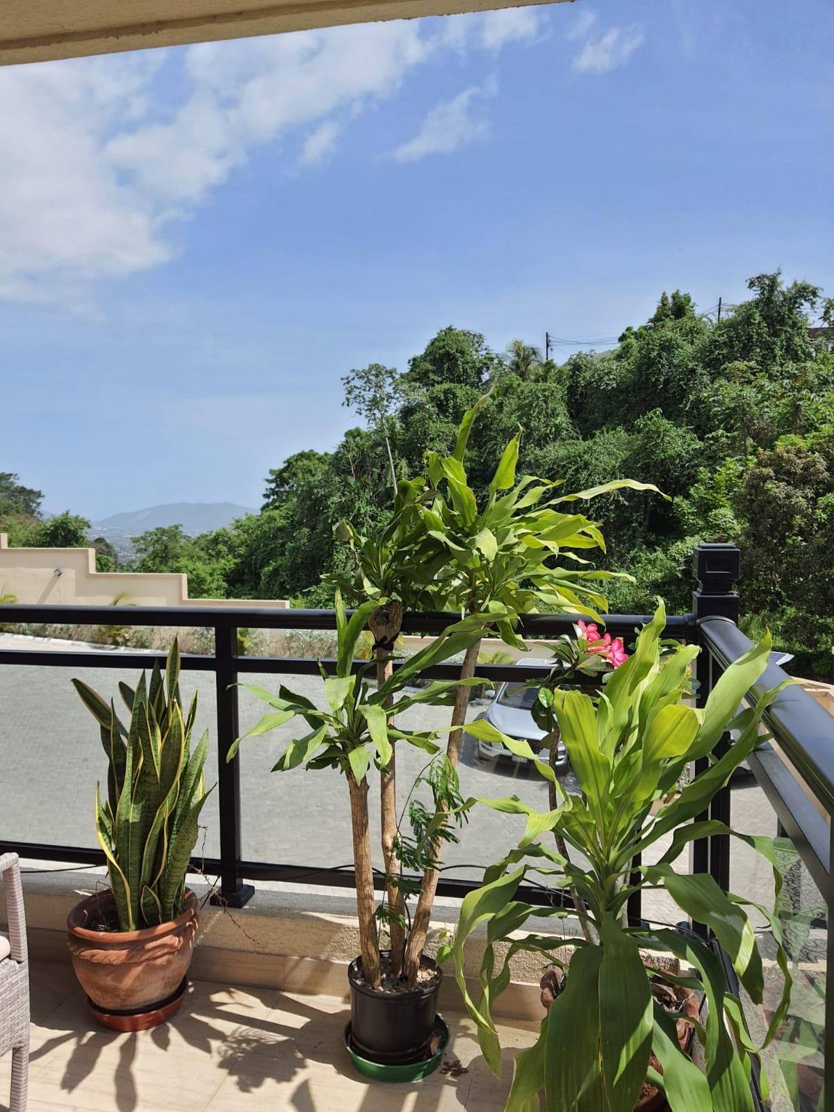 Twentieth image of 4 Lipscombe Drive/ave in Kingston 9, St. Andrew, Jamaica - property is For Rent