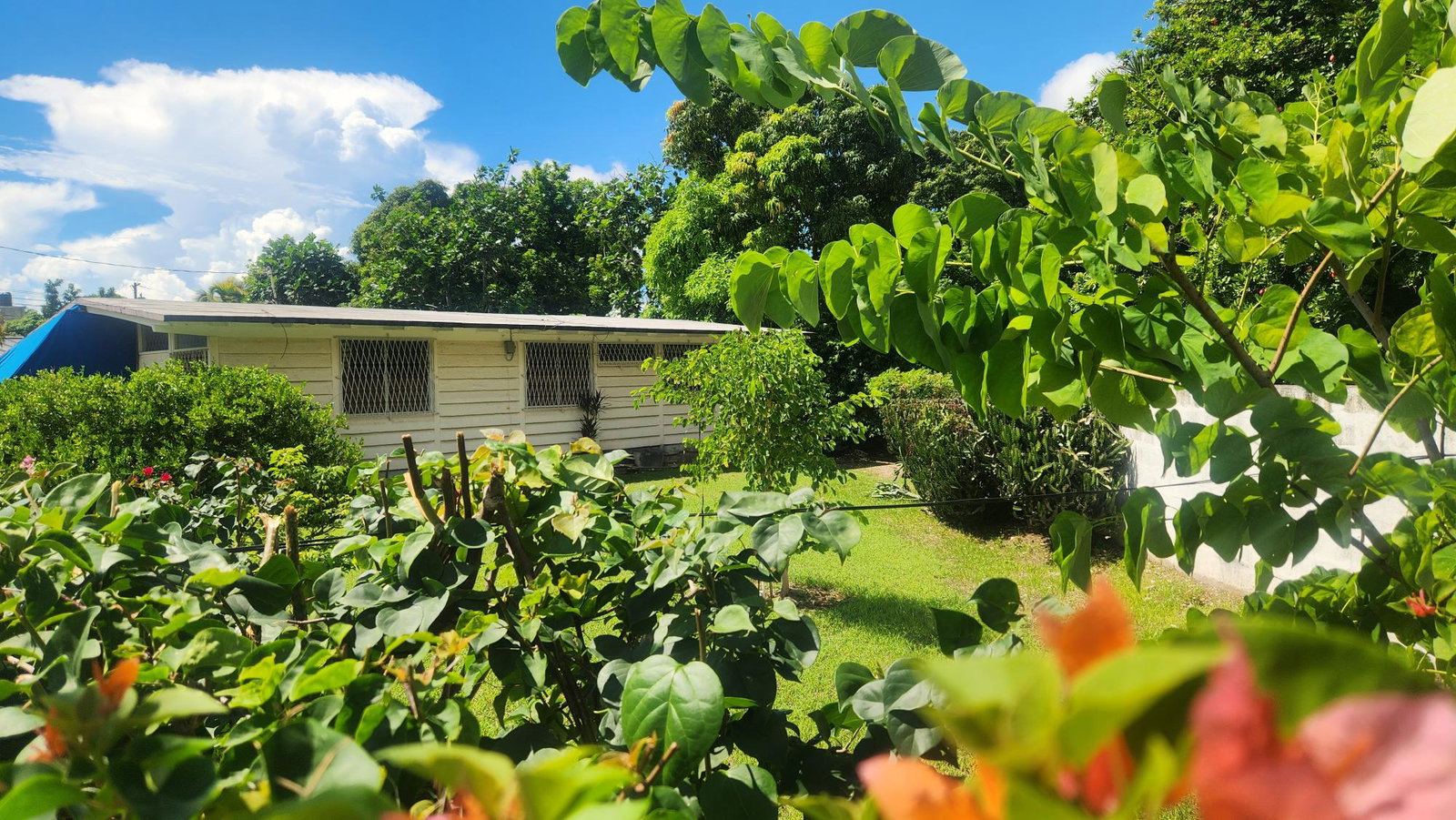Charming-3-Bedroom-Bungalow-for-Sale-in-Liguanea-Kingston-St.-Andrew Eleventh image of 7 Liguanea Place, Kingston in Kingston 6, St. Andrew, Jamaica - property is For Sale