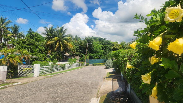 Thirteenth image of 7 Liguanea Place, Kingston in Kingston 6, St. Andrew, Jamaica - property is For Sale