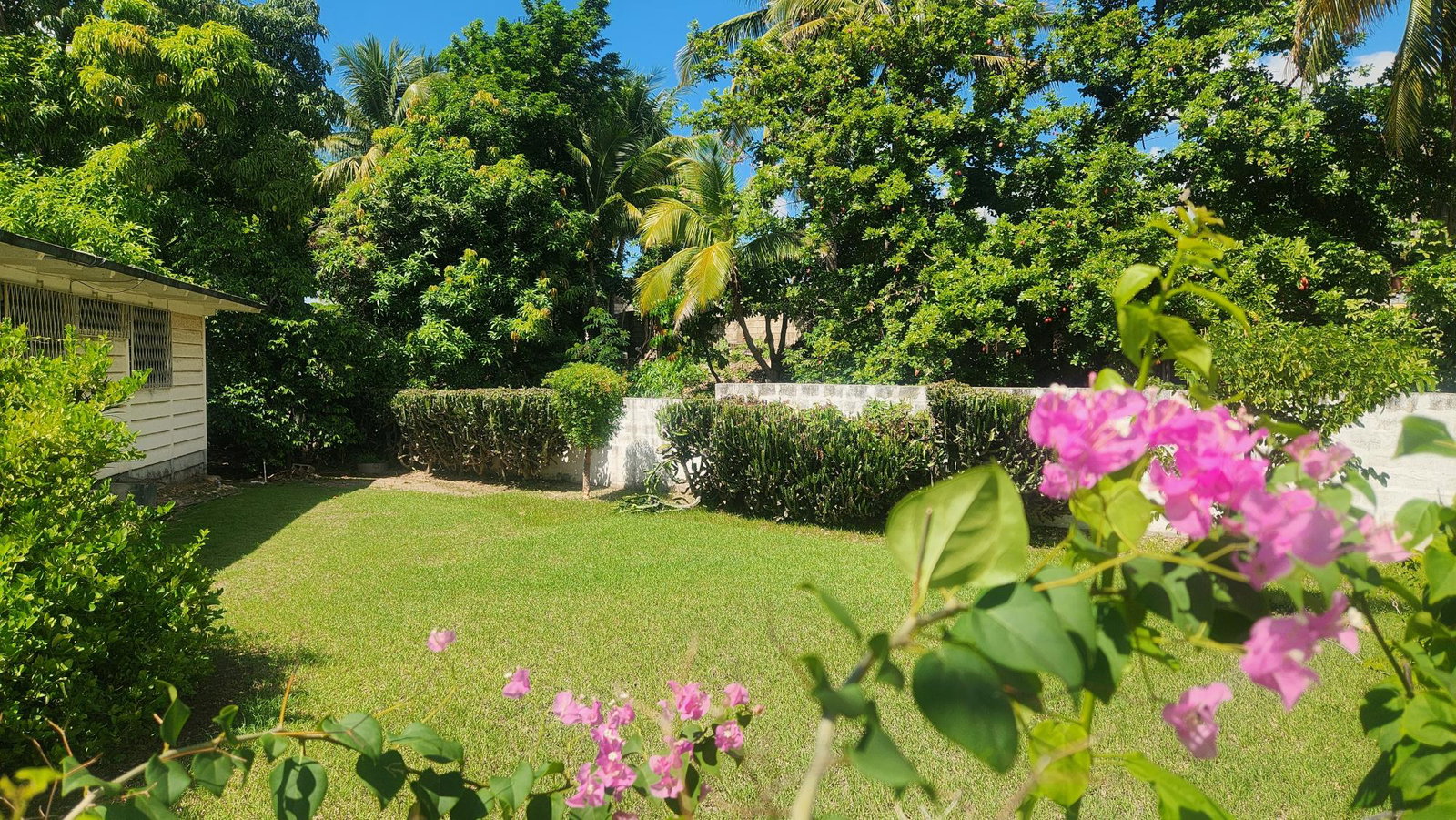 Charming-3-Bedroom-Bungalow-for-Sale-in-Liguanea-Kingston-St.-Andrew Fourth image of 7 Liguanea Place, Kingston in Kingston 6, St. Andrew, Jamaica - property is For Sale