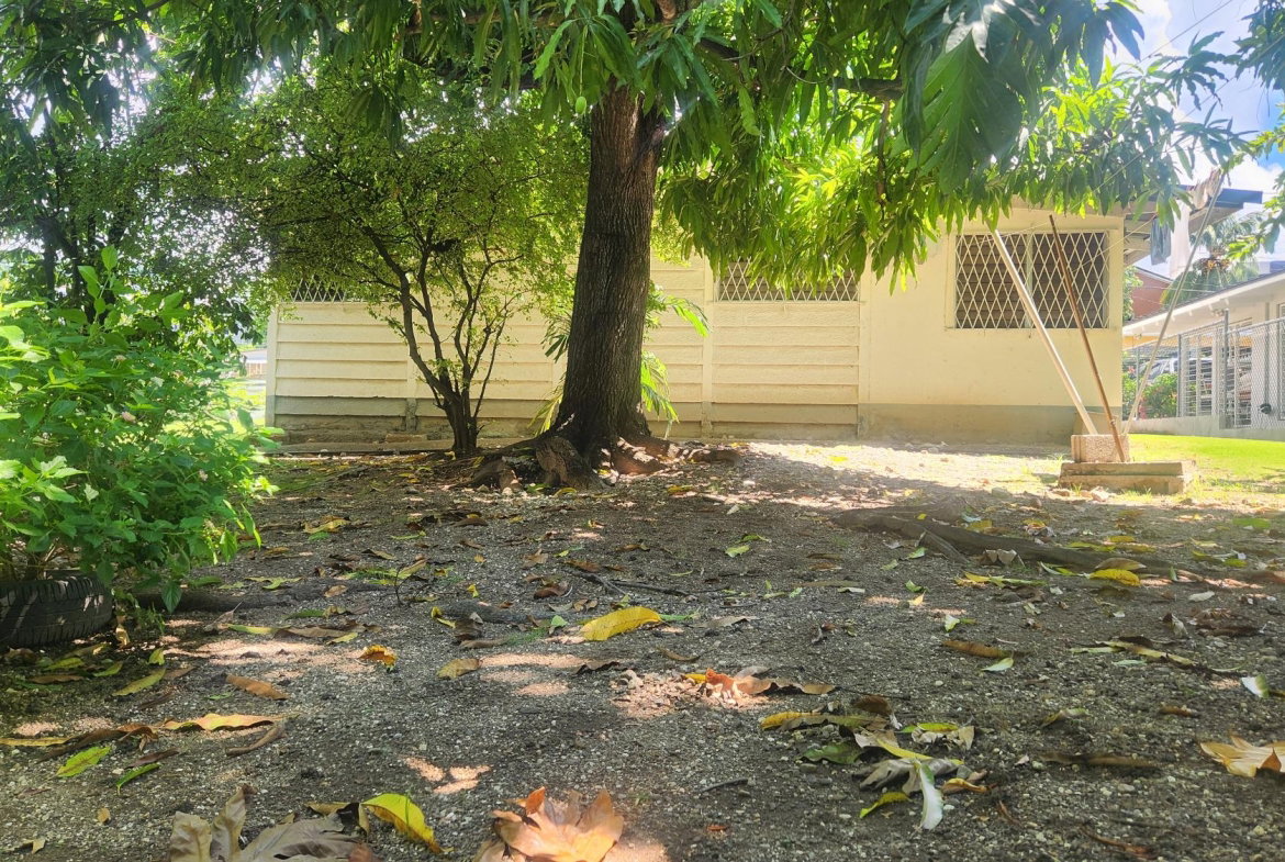 Seventh image of 7 Liguanea Place, Kingston in Kingston 6, St. Andrew, Jamaica - property is For Sale