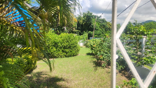 Tenth image of 7 Liguanea Place, Kingston in Kingston 6, St. Andrew, Jamaica - property is For Sale