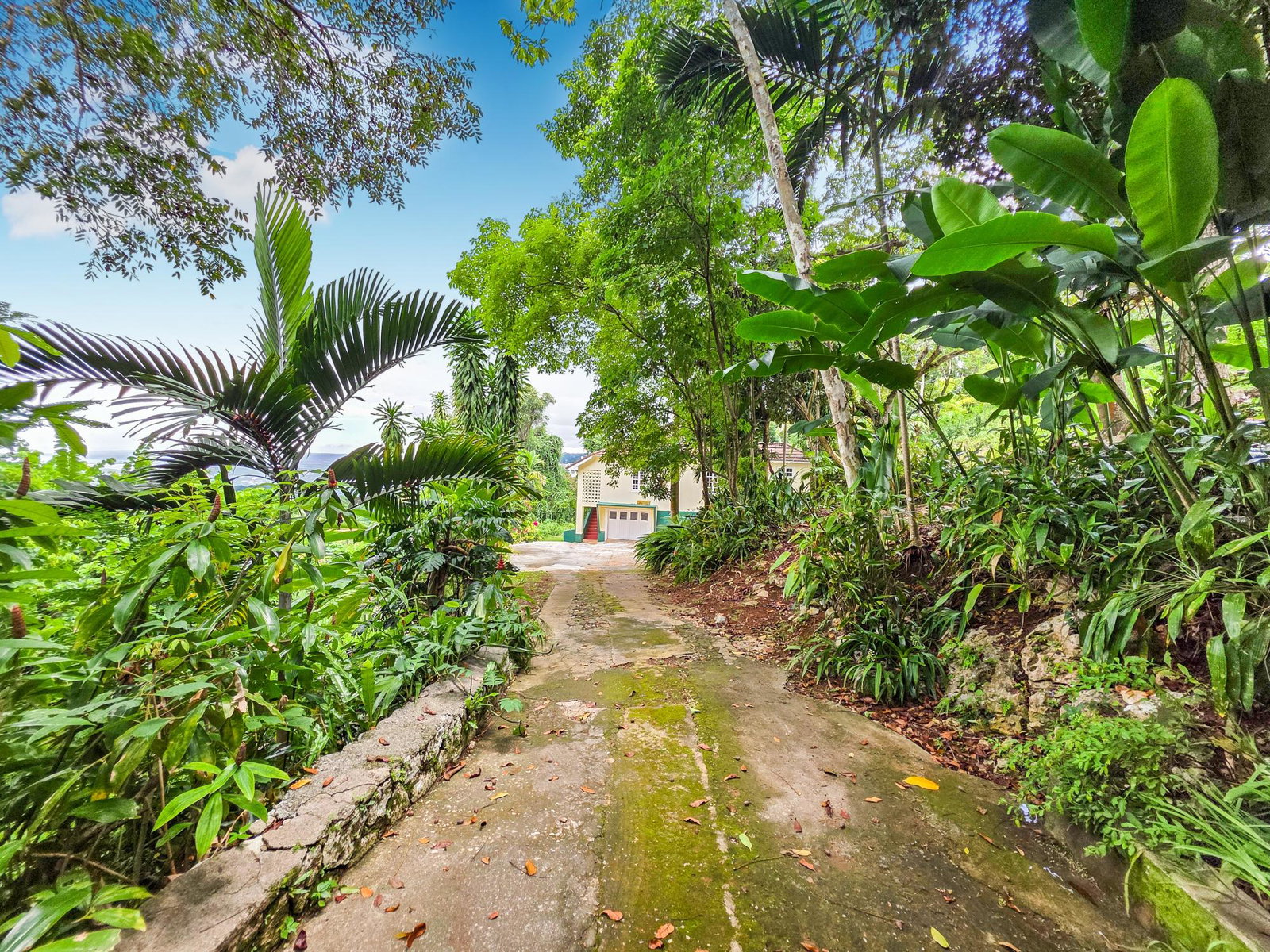 Fourth image of 2 Hermitage Dam Road in Stony Hill P.O., St. Andrew, Jamaica - property is For Rent