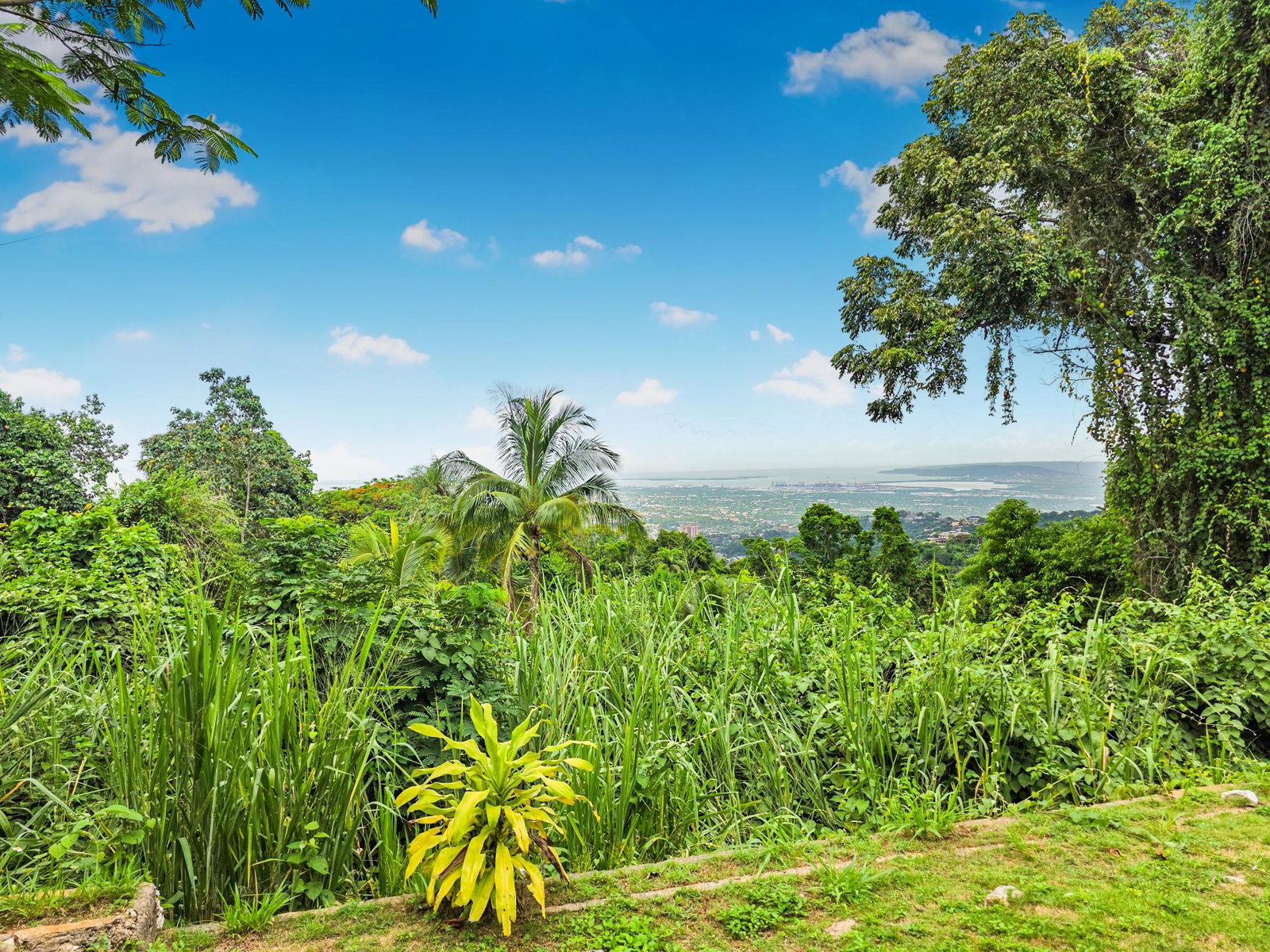 Fifth image of 2 Hermitage Dam Road in Stony Hill P.O., St. Andrew, Jamaica - property is For Rent