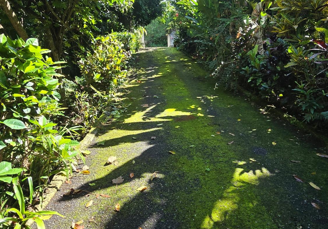 Second image of Irish Town Main Road in Irish Town P.A., St. Andrew, Jamaica - property is For Sale