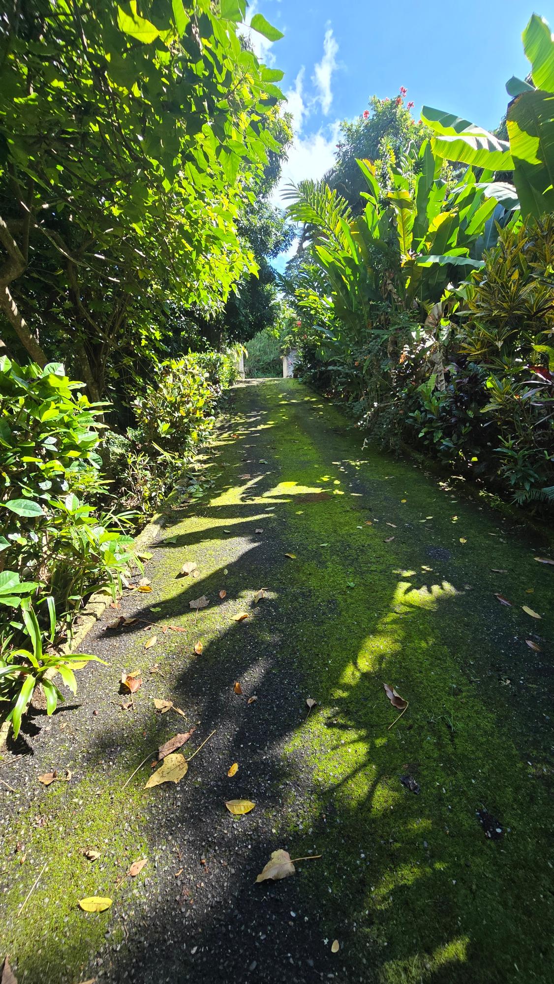 Second image of Irish Town Main Road in Irish Town P.A., St. Andrew, Jamaica - property is For Sale