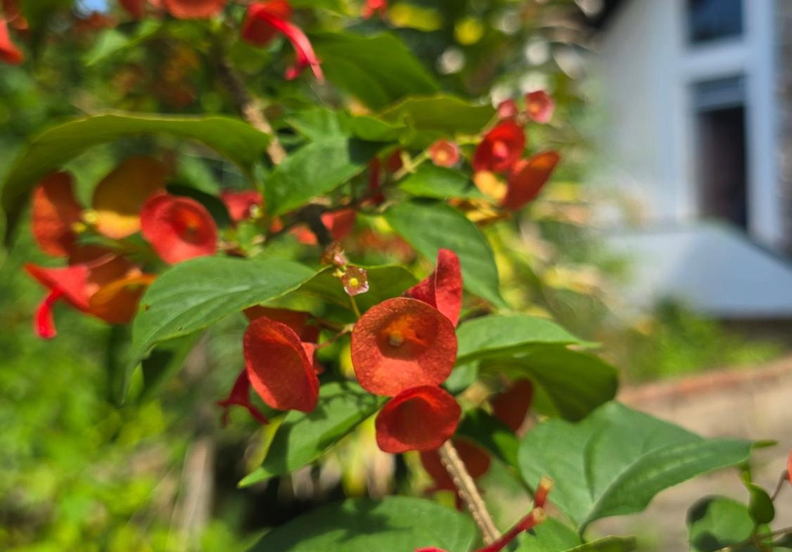 Eleventh image of Irish Town Main Road in Irish Town P.A., St. Andrew, Jamaica - property is For Sale