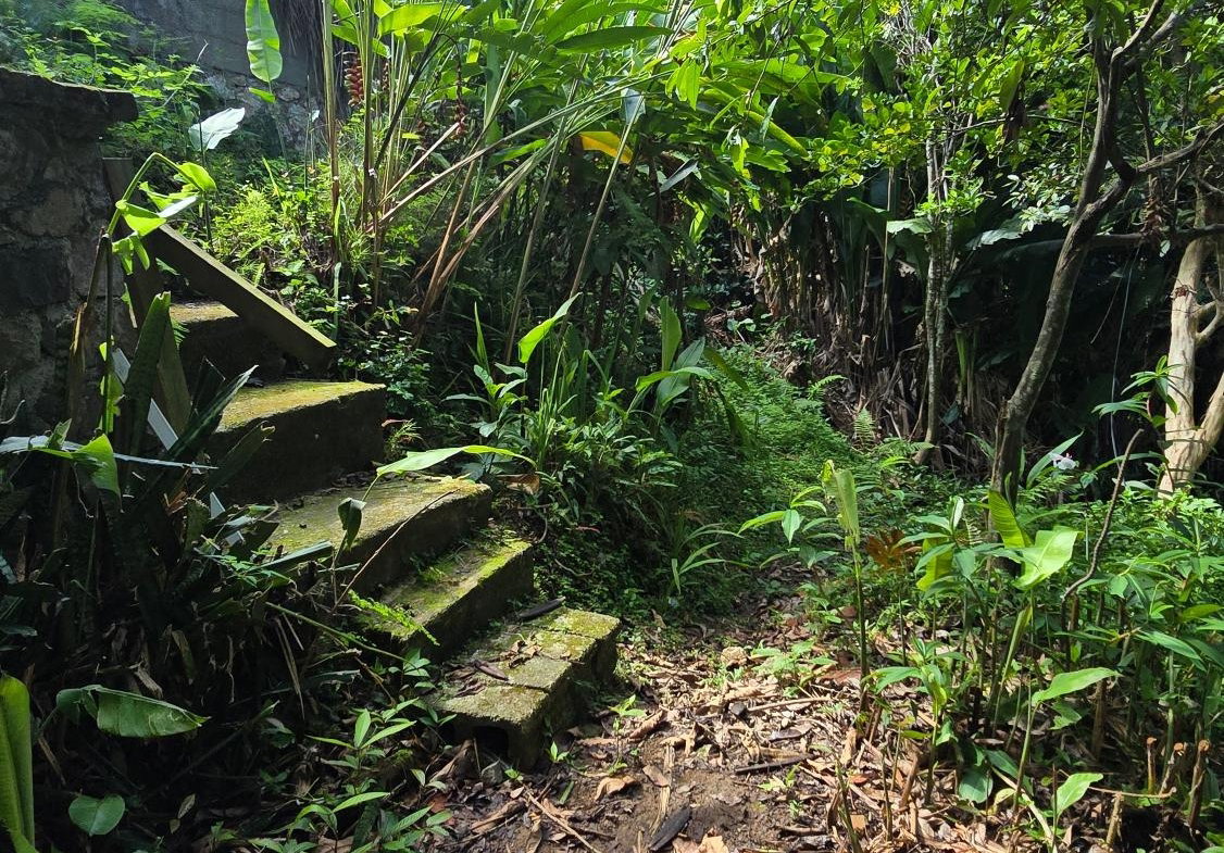 Twelfth image of Irish Town Main Road in Irish Town P.A., St. Andrew, Jamaica - property is For Sale