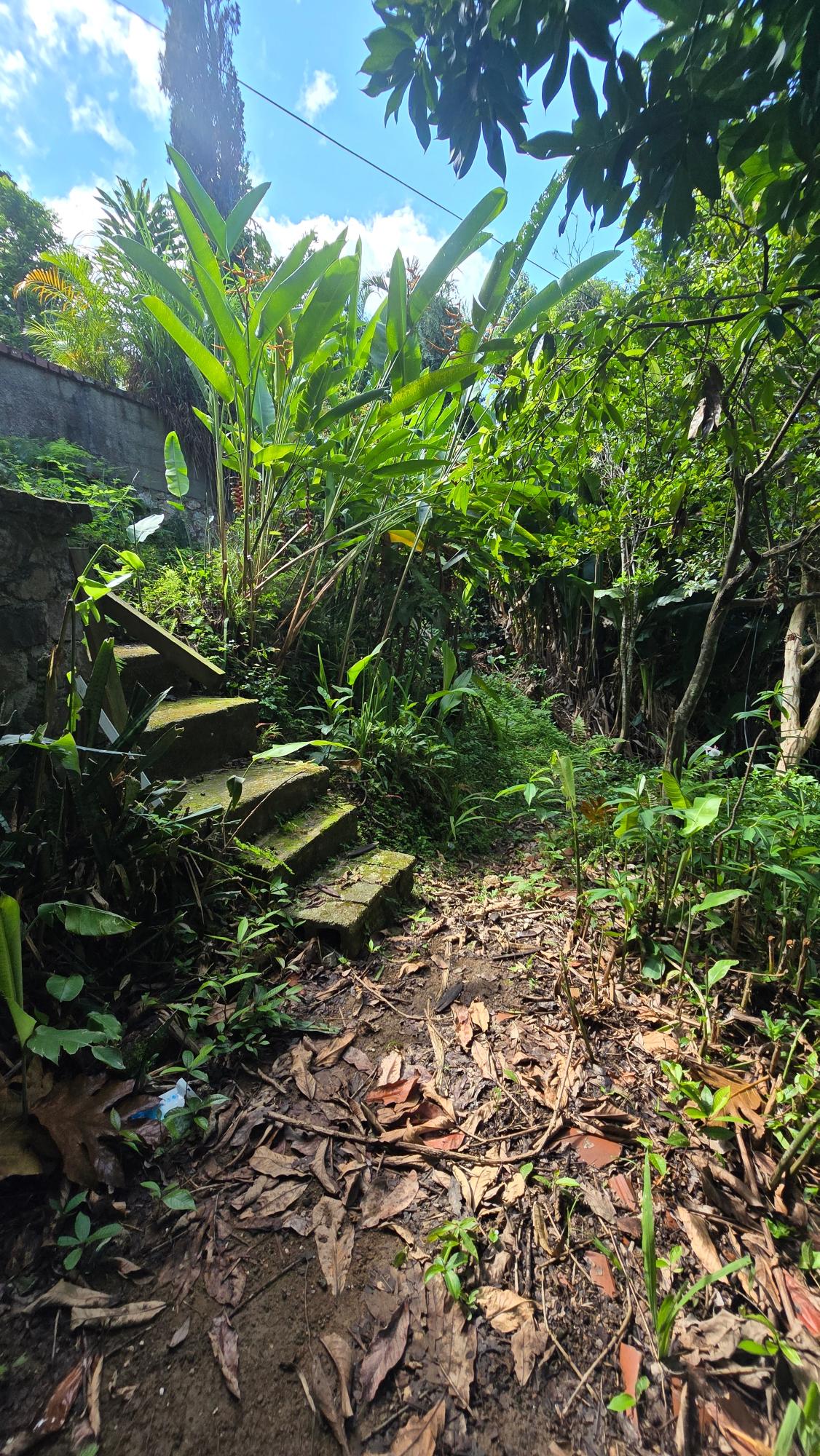 Twelfth image of Irish Town Main Road in Irish Town P.A., St. Andrew, Jamaica - property is For Sale