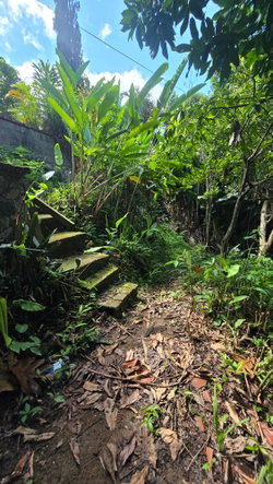 Twelfth image of Irish Town Main Road in Irish Town P.A., St. Andrew, Jamaica - property is For Sale